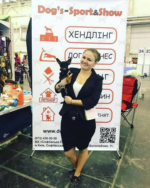 Групповые тренировки для мелких пород собак