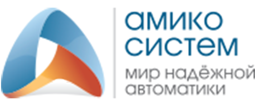 Амико Систем, ЧП