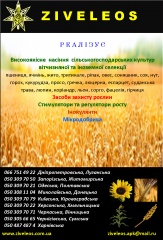 Посевной материал: элита, 1 репродукция, F1