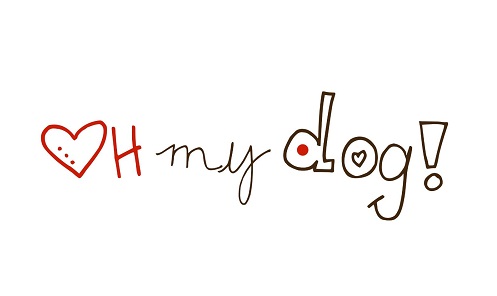 Oh My Dog! груминг-салон Львов Oh My Dog! груминг-салон Львов