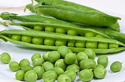 Spring peas Haiduk, Superelite seeds sale in Ukraine