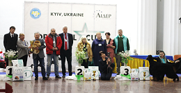Obsługa psów w Kijowie z Kennel Club