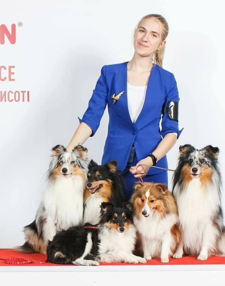 Групповые тренировки с хендлером