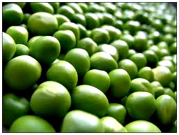 Peas Oplot 1 reproduction, Mykolaiv region