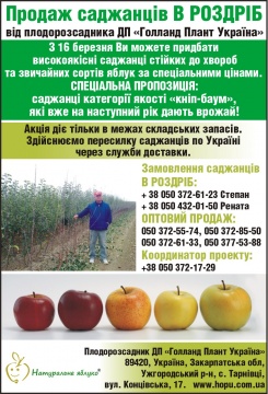 Акция продажа саженцев в розницу