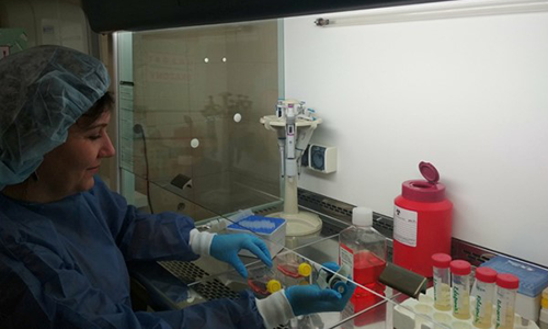 Образовательная программа Биотехнологии и биоинженерия