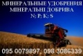 Педаш, ЧП