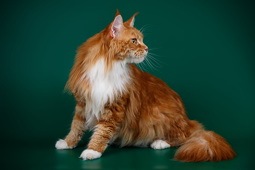 img01