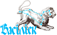 ВАСИЛИСК, ЧП - изготовление гофротары