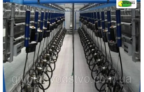 Service of milking parlors in Dnipro